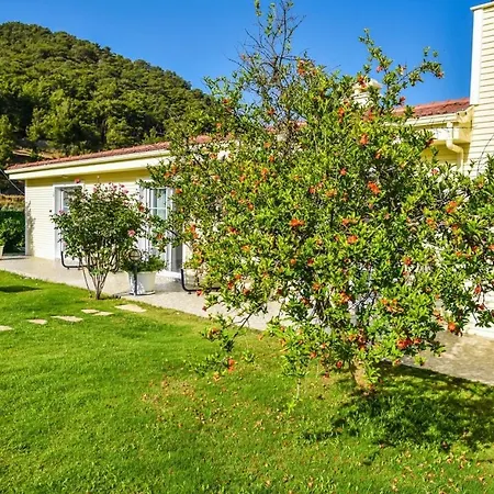 Vila Villa Turiya *