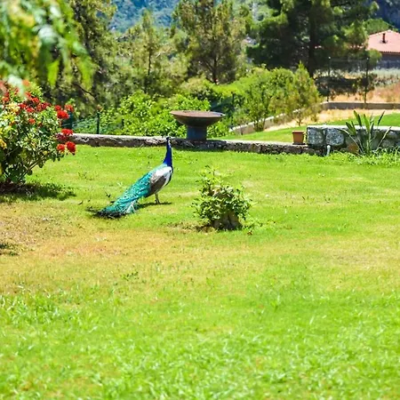 Vila Villa Turiya *